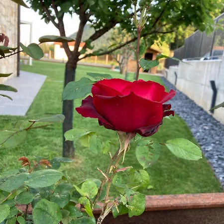 度假居 Ca' Celeste Sul Garda