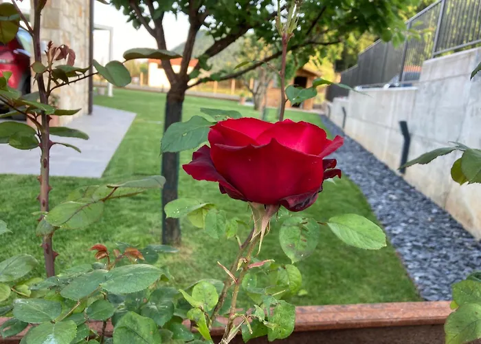 Hébergement de vacances Ca' Celeste Sul Garda