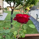 Дом отдыха Ca' Celeste Sul Garda